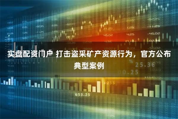 实盘配资门户 打击盗采矿产资源行为，官方公布典型案例