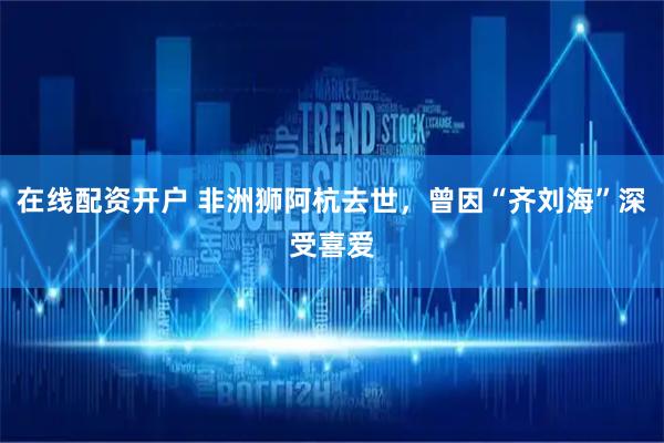 在线配资开户 非洲狮阿杭去世，曾因“齐刘海”深受喜爱